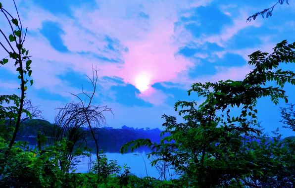 Sun, Water, Sunrise, Dawn, Morning, Lake, Trees, Reflection