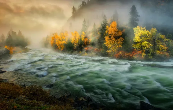 Осень, деревья, туман, река, утро, Washington State, Штат Вашингтон, Wenatchee River