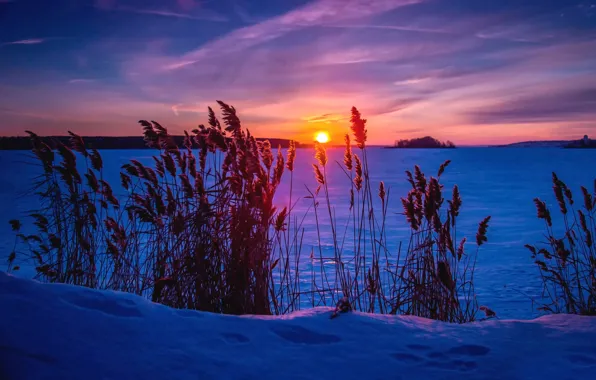 Картинка зима, снег, обработка, Frosty sunset
