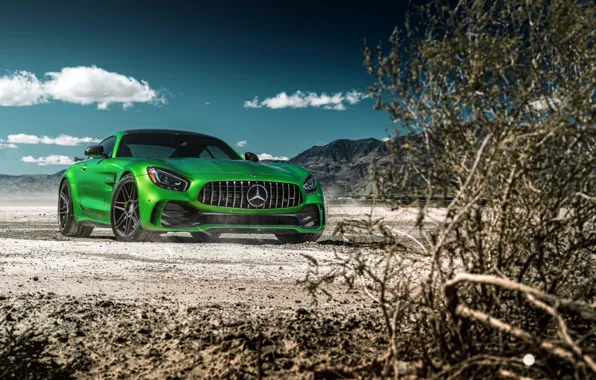 Небо, природа, зеленый, стиль, кусты, передок, Mercedes GTR