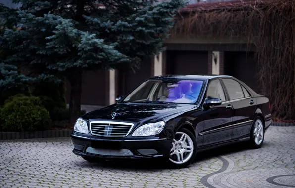 Mercedes, Classic, Black, Legend, S500, W220