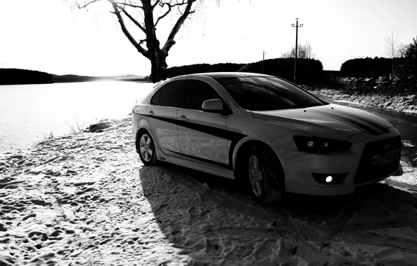 Картинка черно-белая, Дерево, Снег, Следы, Mitsubishi, Lancer X10