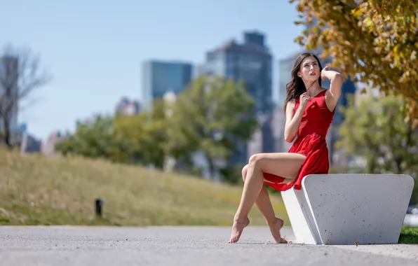 Картинка девушка, город, molly