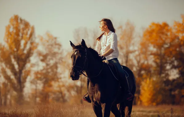 Поле, осень, лес, девушка, свет, природа, конь, лошадь