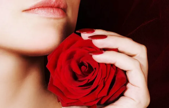 Girl, Red, Rose, Manicure
