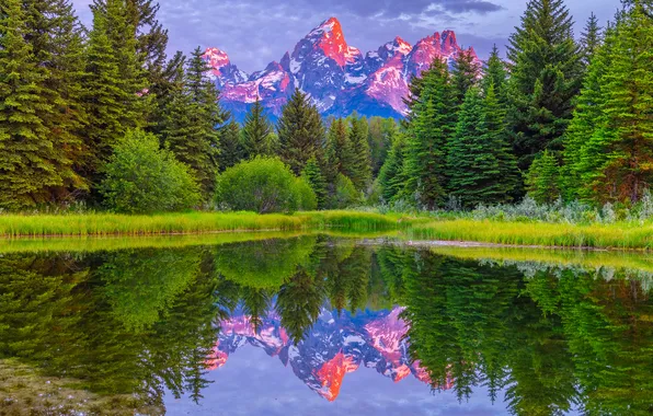 Лес, пейзаж, горы, озеро, США, Grand Teton National Park