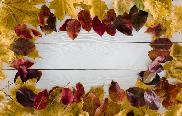 Осень, листья, фон, дерево, доски, colorful, wood, background