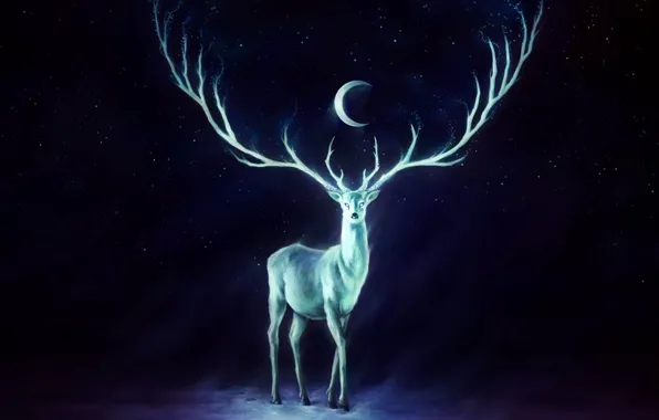 Картинка wallpapers, painting, White Peacock