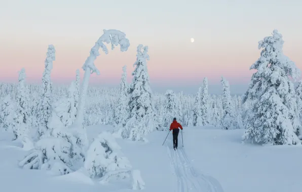 Картинка sunset, snow, Finland, skiing, Winter Wonderland