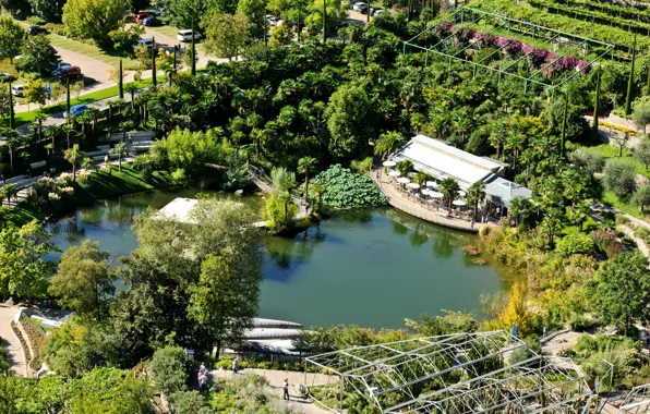 Деревья, пруд, парк, пальмы, сад, Италия, вид сверху, Trauttmansdorff Castle Gardens