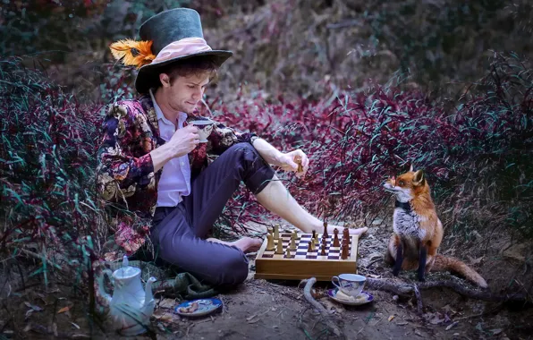 Картинка природа, шляпа, шахматы, лиса, чаепитие, парень