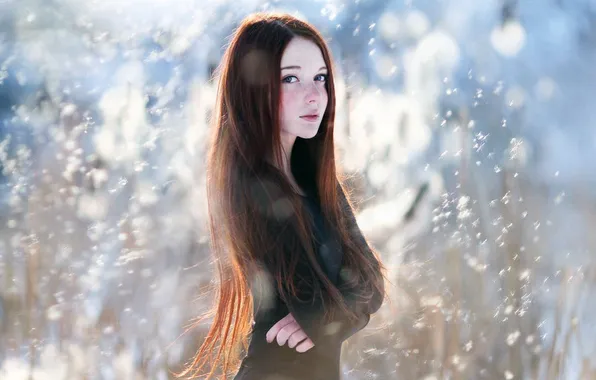 Картинка девушка, рыжая, girl, redhead, Роман Каргаполов, Roman Kargapolov