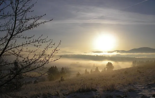 Картинка природа, туман, рассвет, утро, forest, river, trees, steam