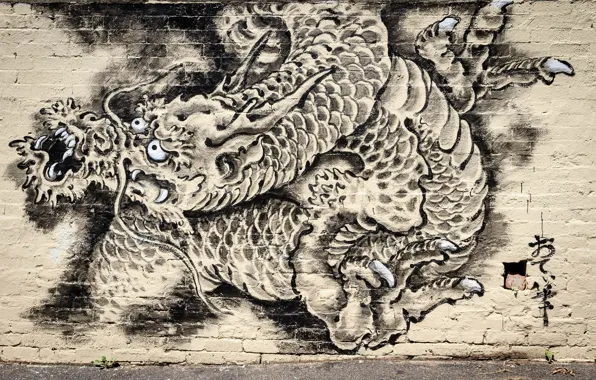 Стена, граффити, дракон, Graffiti