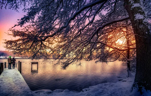 Солнце, снег, дерево, обработка, Швейцария, Katzensee