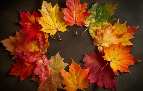 Осень, листья, фон, colorful, autumn, leaves