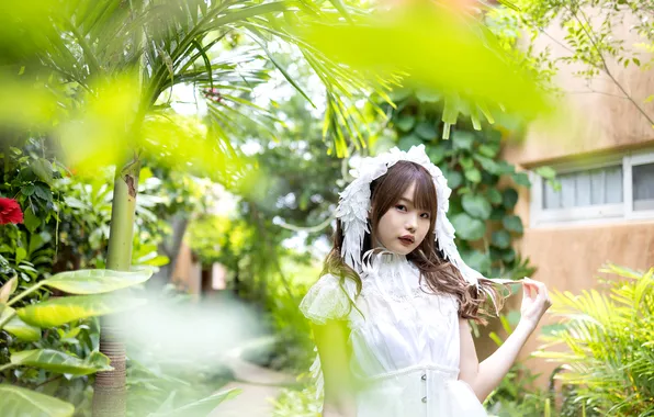 Beautiful, Asian, Model, Woman, Pretty, Japanese, Garden, Outdoor
