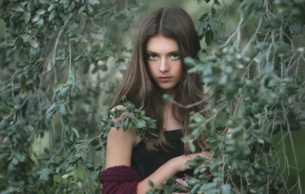 Картинка природа, портрет, девочка