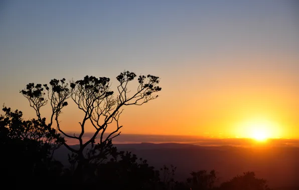Nature, Brazil, Minas Gerais, South American