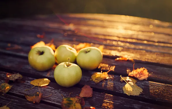 Осень, листья, природа, стол, яблоки, вечер, урожай