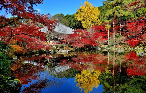 Осень, листья, деревья, дом, пруд, отражение, Япония, сад