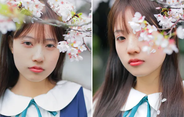 Beautiful, Asian, Model, Tree, Flowers, Woman, Cute, Pretty