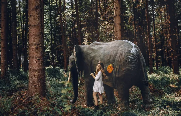 Картинка лес, девушка, слон