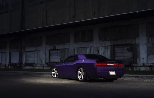 Muscle, Dodge, SRT8, Challenger, Car, Purple, Rear