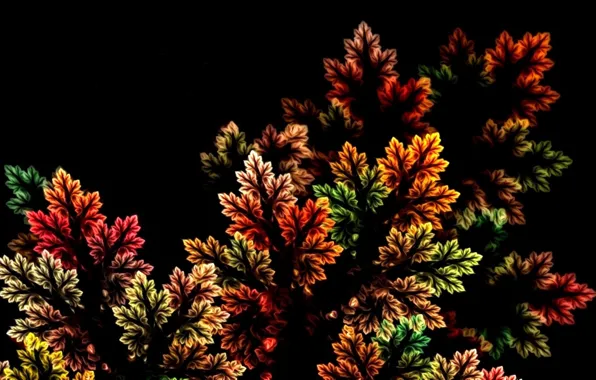 Картинка осень, листья, природа, абстракция, рендеринг, фрактал, черный фон, картинка