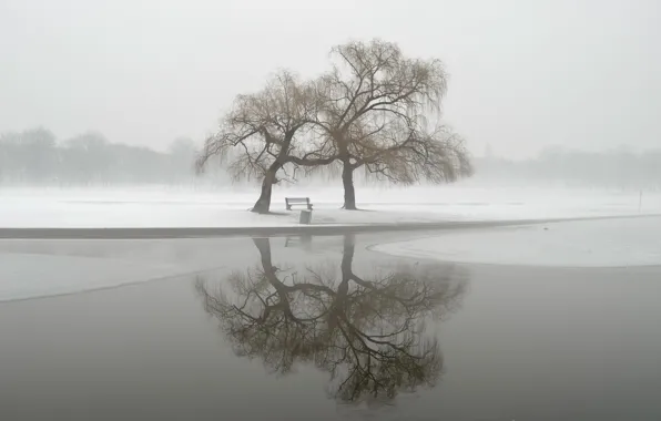 Картинка зима, пейзаж, туман, парк