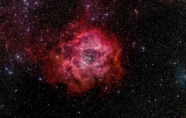 Космос, звезды, пространство, красота, Rosette Nebula