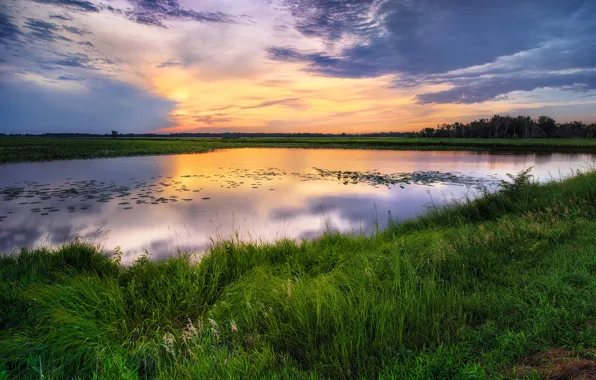 Небо, трава, облака, берег, водоем