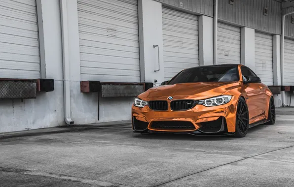 Картинка BMW, Sight, Bronze, F83