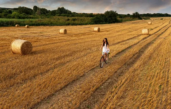 Картинка дорога, поле, небо, девушка, облака, велосипед, сено, girl