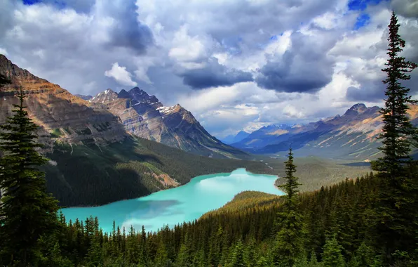 Лес, горы, природа, озеро, Banff National Park, Canada, Peyto Lake