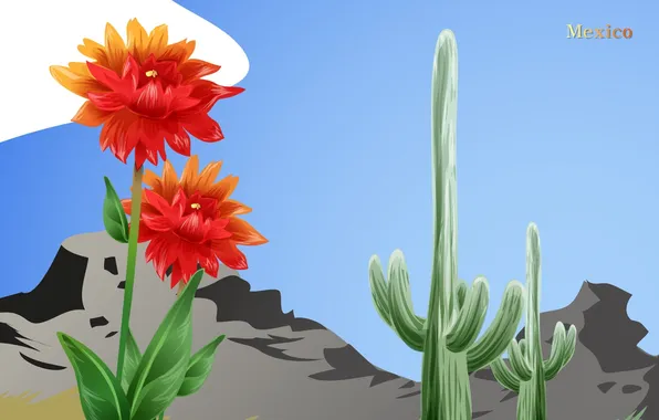 Картинка цветок, горы, кактус, Мексика, Mexico