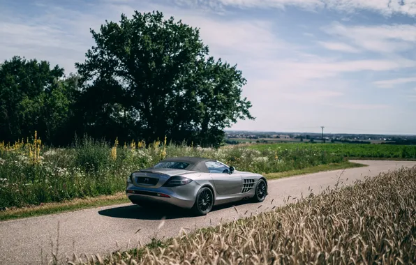 Mercedes-Benz, SLR, Mercedes, Mercedes-Benz SLR McLaren Roadster 722S