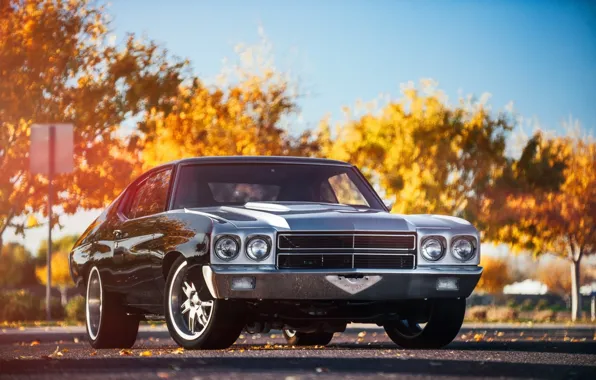 Chevrolet, coupe, chevelle