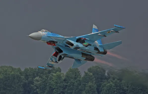 Картинка лес, взлёт, боевой самолёт, Soukhoï Su-27 Flanker