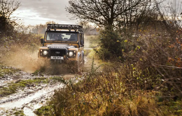 Картинка Грязь, Land Rover, Жёлтый, Внедорожник, Defender, Ленд Ровер, 2021, 405 л.с.