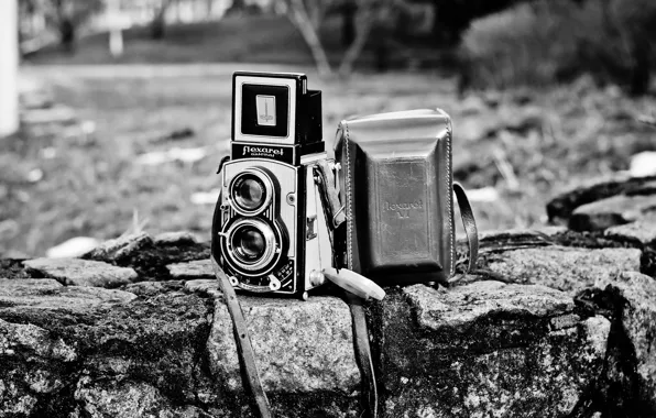 Black & white, camera, коллекция, антиквариат, Flexaret