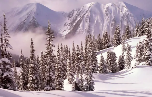 Картинка снег, деревья, горы, елки, Зима