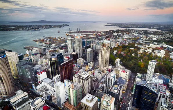 Дома, панорама, залив, новая зеландия, New Zealand, Auckland, улицы, квартал