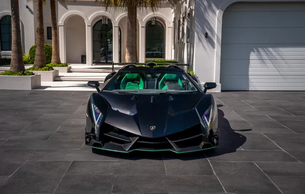 Roadster, Lamborghini, суперкар, supercar, 2014, Veneno, единственный экземпляр, the only instance