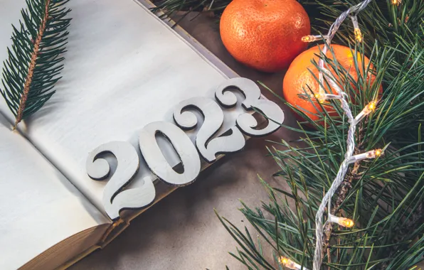 Рождество, Новый год, хвоя, дата, новогодние украшения, 2023