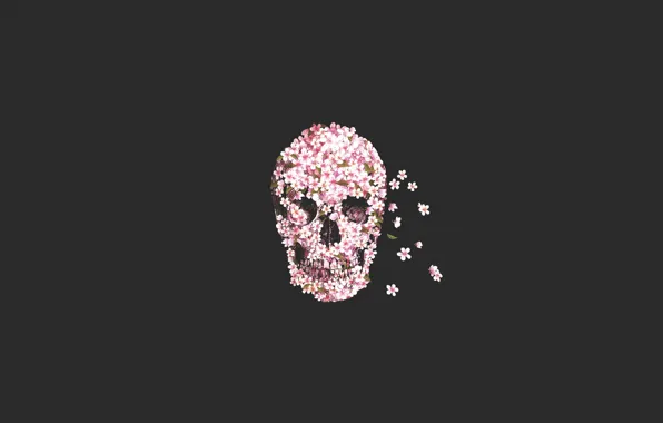Цветы, череп, skull, flower