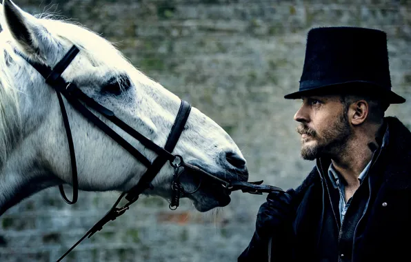 Man, Taboo, horse, Tom Hardy, tv series