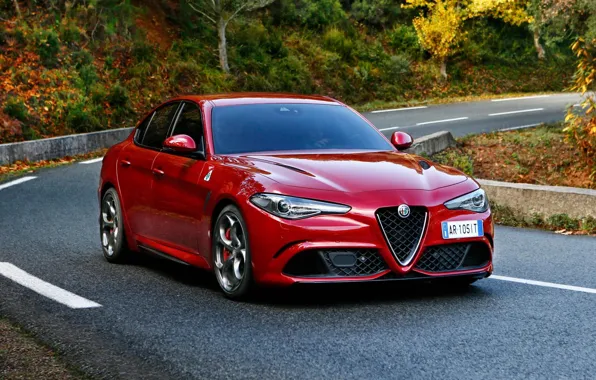 Картинка Alfa Romeo, Альфа Ромео, Передок, Giulia