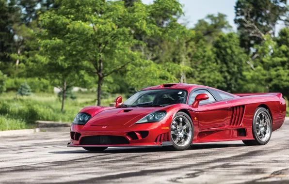 Зелень, Дорога, Saleen, Фары, Диски, Суперкар, 2005, Twin Turbo