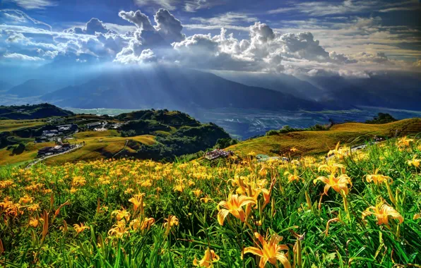 Картинка свет, цветы, горы, пейзаж., одлака